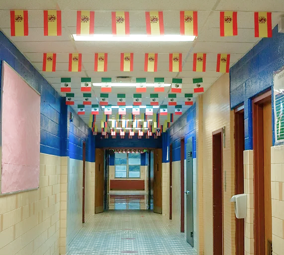 image 14